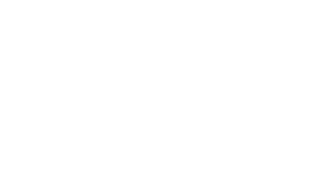Greyscale logo of Dublin Port Company, a Modality Consulting client